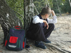 Жители Новороссийска попытались рассудить: кто прав, а кто виноват в неаттестации школьника