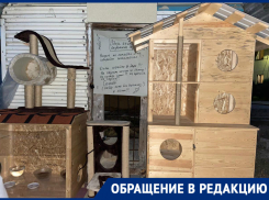 Кошкин дом мешает новороссийцам жить в комфорте