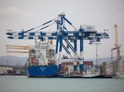 Новорослесэкспорт обязали выплатить 2,8 млн за загрязнение Черного моря 