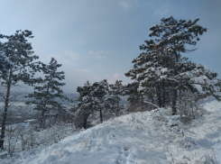 Воскресенье будет морозным в Новороссийске 