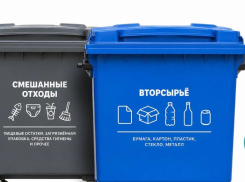 Памятка для жителей Новороссийска: как правильно сортировать мусор в новые баки