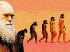 Никаких обезьян! Юных новороссийцев могут лишить теории Дарвина