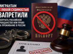 Мигрантам с судимостью запретили получать гражданство и ВНЖ в России