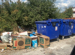 «Экологично»: новороссийцы страдают от вони, крыс и антисанитарии 