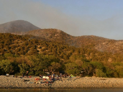 Спасатели берегут Утриш: после страшных пожаров у соседей Новороссийска проливают лес