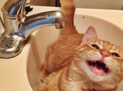 Вода в Новороссийске будет нескоро 