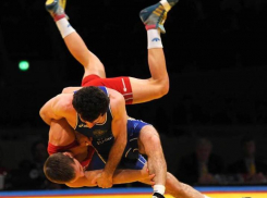 Новороссийцев приглашают на соревнования по спортивной борьбе 