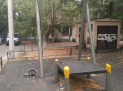 Внукам играть негде: жительница Новороссийска жалуется на грязь, мусор и поломанную горку