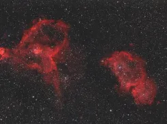 Роскосмос показал космические букеты в честь 8 Марта