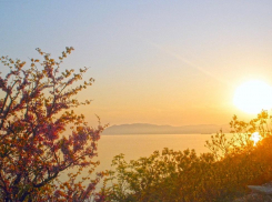 Весна пришла в Новороссийск раньше времени 