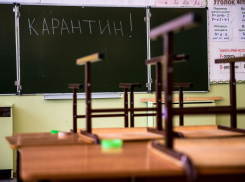 Новороссийцам об «удаленке»: глава Минпросвещения рассказал о вероятности закрытия школ