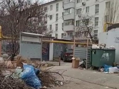 Жительница третьего микрорайона недовольна его санитарным состоянием