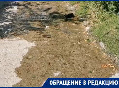«Люди живут без воды, а у нас улицы топит», - жительница Новороссийска об очередной утечке