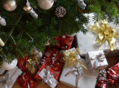 Переносчики Covid-19: какие новогодние подарки могут быть опасны для новороссицев