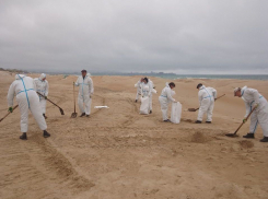 Мазут в Анапе не заканчивается: новые выбросы нефти на пляжах 