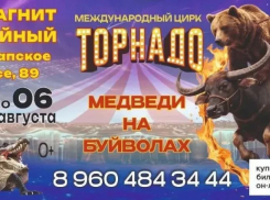 Цирк «Торнадо» - за гранью реальности: шоу в Новороссийске уже с самом разгаре!
