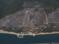 Сгорело на миллиарды: Минприроды оценило ущерб от пожара под Новороссийском