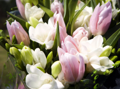 «Блокнот» поздравляет женщин с 8 марта!