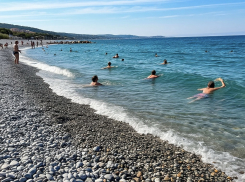 Восемь пляжей в Новороссийске работают без санитарных заключений  