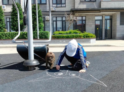 Козероги насладятся красотой, а Скорпионы создадут домашний уют