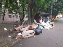 «ЭкоЮг» могут обязать изменить график вывоза мусора в Новороссийске 