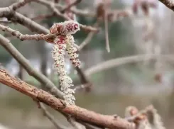 Для Овнов наступило время действовать, а Стрельцам пора расширить кругозор