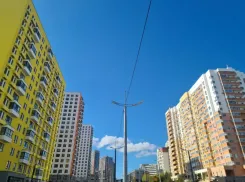 Это обязанность: застройщикам Новороссийска объяснили, как надо озеленять город