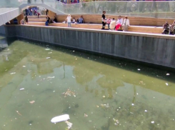 В «бассейн» в парке Фрунзе собираются запустить рыб