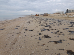 Мазут начал подниматься со дна Черного моря из-за потепления 