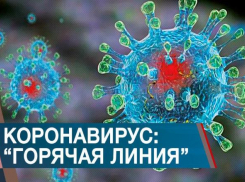 Единая горячая линия оперативного штаба по коронавирусу начала работать на Кубани