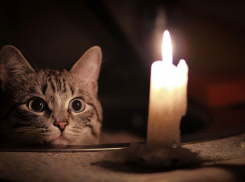 Стало известно, какие улицы Новороссийска останутся без света на грядущей неделе 