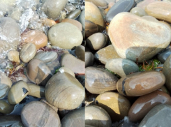 Подтвердили! Власти Новороссийска нашли мазут на местном пляже