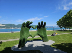 Гороскоп от «Блокнота»: аффирмации дня для Рака, Скорпионов, Рыб и других