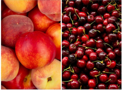 Каких цен ждать на черешню и персики? В Крыму хотят ввести ЧС из-за гибели урожая