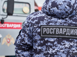 Мужчина напал на сотрудника полиции в одном из кафе Новороссийска