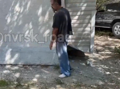 «Красивый пируэт» с перелётом через ограждения, тротуар и зелёную зону устроил новороссиец