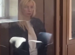 Анна Минькова, бывший вице-губернатор Краснодарского края, признала вину в суде