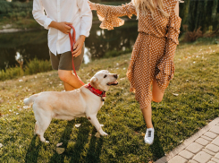 Новороссийцев скоро могут начать штрафовать за неправильный выгул домашних животных