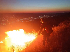 Больше 1 гектара леса сгорело в Новороссийске 