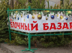 В Новороссийске начали создавать новогоднее настроение