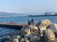 Гороскоп: Овны ощутят замедление, а Тельцы четко поймут свои цели