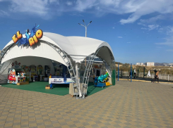 Новороссийцы сомневаются в законности нового павильона на Алексино 