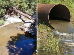 Международный день рек: почему это повод для грусти в Новороссийске 