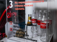 «Пляж без отходов»: как Новороссийск решает проблему пластиковых отходов 