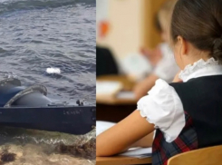 Атака БЭК в Новороссийске: школы, сады и общественный транспорт работают