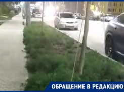 Амброзия в Новороссийске на Мурата Ахеджака растёт вне времени и пространства