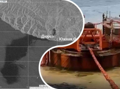 КТК-р не хочет выплачивать компенсацию за разлив нефти под Новороссийском 