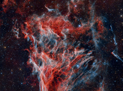 Гороскоп от “Блокнота” на 22-ое ноября — Козерогов ждут неприятности, а Тельцов приятности