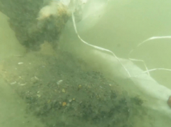 В такой воде купаются в Анапе: со дна Чёрного моря достали больше 2 тысяч мешков с мазутом