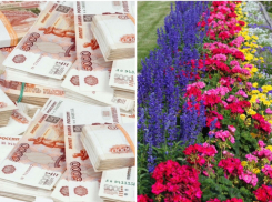 11 миллионов из бюджета Новороссийска потратят на летние цветы 